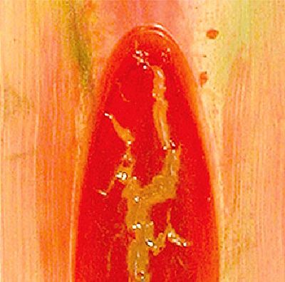 Gemälde mit einer rot glänzenden Fläche mit gelblichen, fließenden Strukturen.