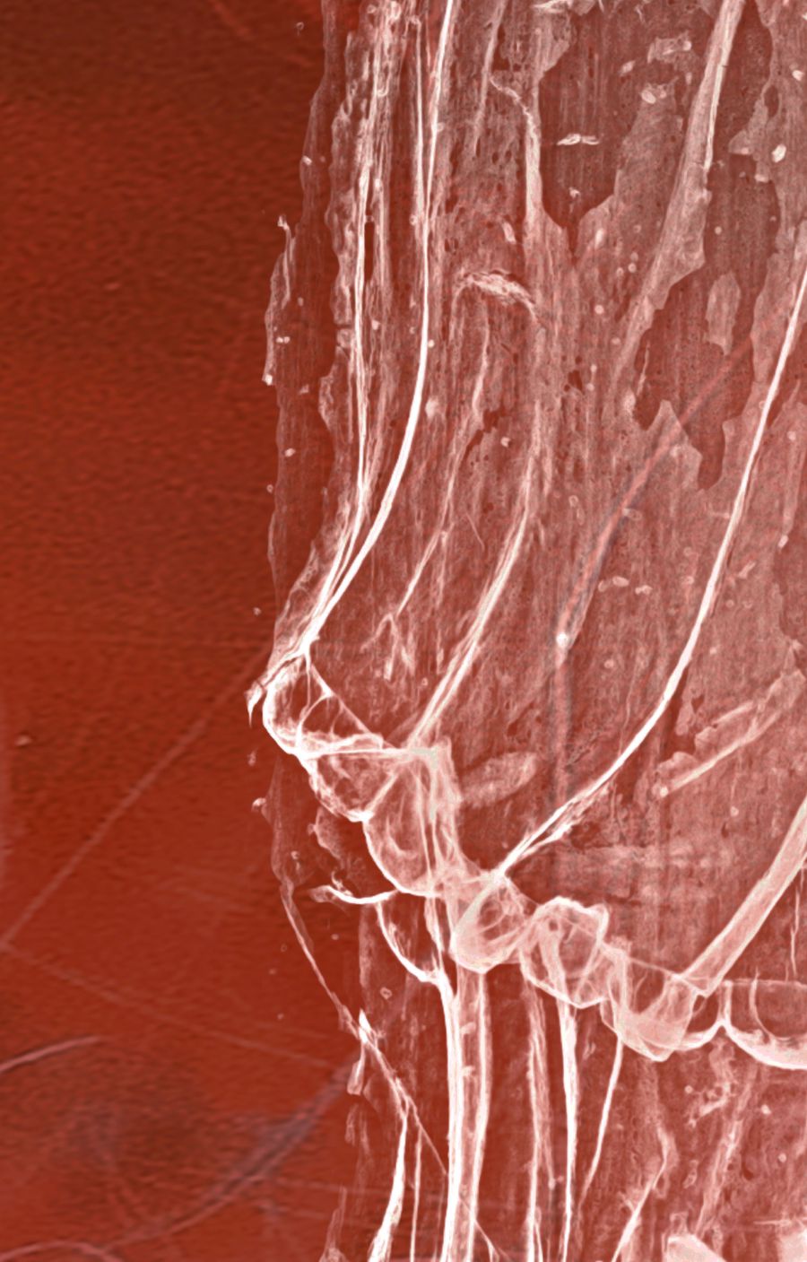 Röntgenaufnahme einer hölzernen Skulptur des Heiligen Wolfgangs aus dem 16. Jahrhundert, die die detaillierte interne Struktur zeigt